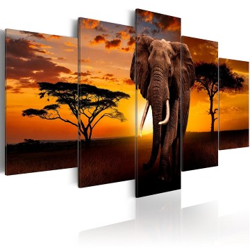 Canvas 5 luik schilderij afrika 1 olifant 240 x 112 cm g c 0025 b m