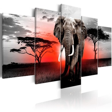 Canvas 5 luik schilderij afrika 5 olifant giraffe 240 x 112 cm g c 0054 b n