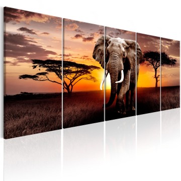 Canvas 5 luik schilderij afrika olifant 0001 240 x 90 cm 0055 b n