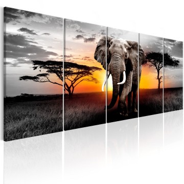 Canvas 5 luik schilderij afrika olifant 0002 240 x 90 cm 0055 b n