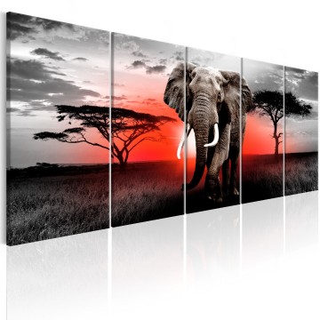 Canvas 5 luik schilderij afrika olifant 0003 240 x 90 cm 0055 b n