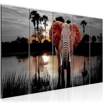 Canvas 5 luik schilderij afrika olifant 14 220 x 80 cm 001955