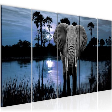 Canvas 5 luik schilderij afrika olifant 15 220 x 80 cm 001955