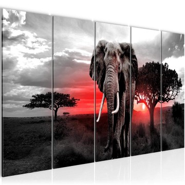 Canvas 5 luik schilderij afrika olifant 17 220 x 80 cm 001255