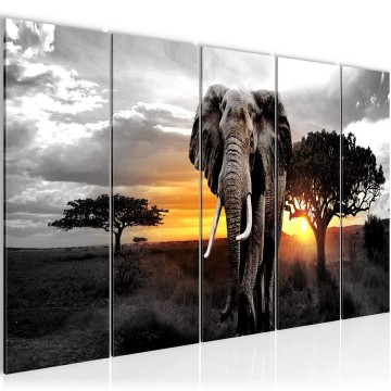 Canvas 5 luik schilderij afrika olifant 18 220 x 80 cm 001255