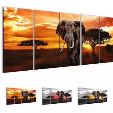 Canvas 5 luik schilderij afrika olifant boom1 220 x 80 cm 001212 0