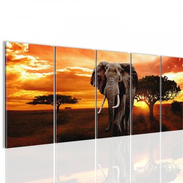 Canvas 5 luik schilderij afrika olifant boom2 220 x 80 cm 001212
