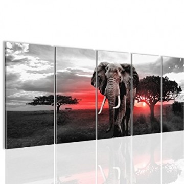 Canvas 5 luik schilderij afrika olifant boom3 220 x 80 cm 001212