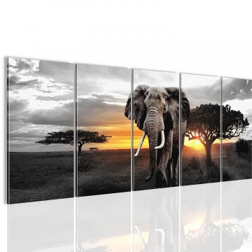 Canvas 5 luik schilderij afrika olifant boom4 220 x 80 cm 001212