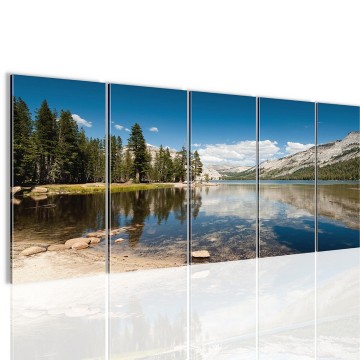 Canvas 5 luik schilderij bergmeer1 220 x 80 cm 606855
