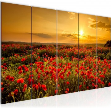 Canvas 5 luik schilderij bloemen klaprozen 220 x 80 cm 043955a