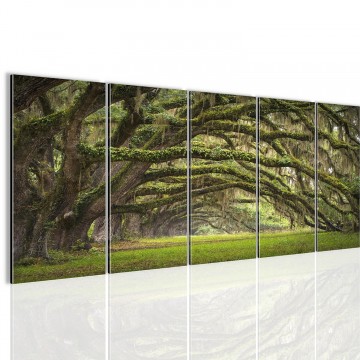 Canvas 5 luik schilderij bomen tunnel1 220 x 80 cm 609955