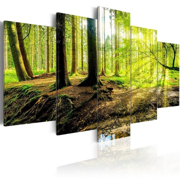 Canvas 5 luik schilderij bos 12 240 x 112 cm c b 0175 b m