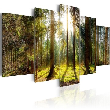 Canvas 5 luik schilderij bos 8 240 x 112 cm c b 0114 b n
