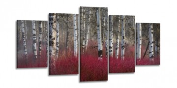 Bos Rood 200 x 100 cm