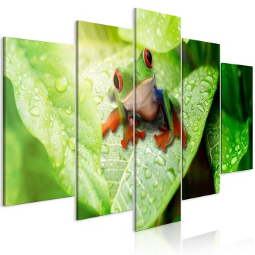 Canvas 5 luik schilderij dieren kikker 01 240 x 112 cm 0238 b m