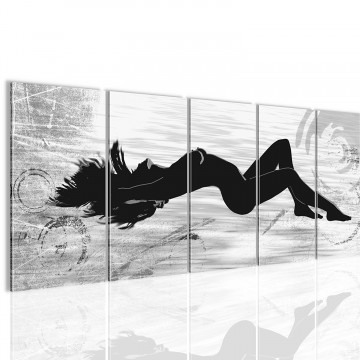 Canvas 5 luik schilderij erotic girl4 220 x 80 cm 300312