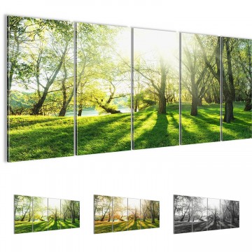 Canvas 5 luik schilderij gras oever1 220 x 80 cm 608412