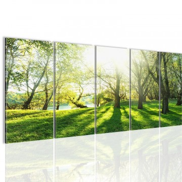 Canvas 5 luik schilderij gras oever2 220 x 80 cm 608412