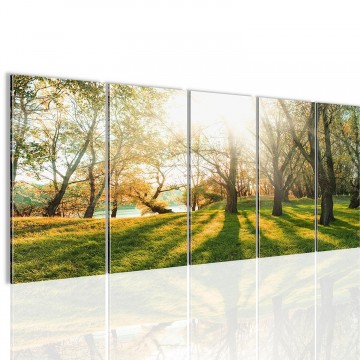 Canvas 5 luik schilderij gras oever3 220 x 80 cm 608412