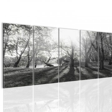 Canvas 5 luik schilderij gras oever4 220 x 80 cm 608412