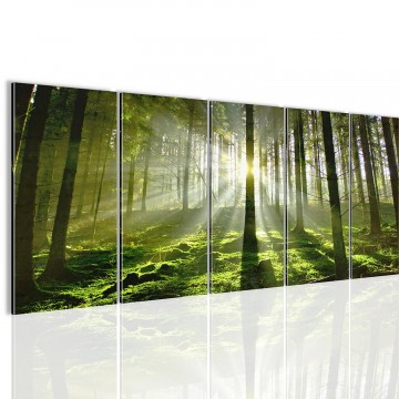 Canvas 5 luik schilderij groen bos1 220 x 80 cm 602912