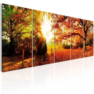 Canvas 5 luik schilderij herfstbos1 225 x 90 cm