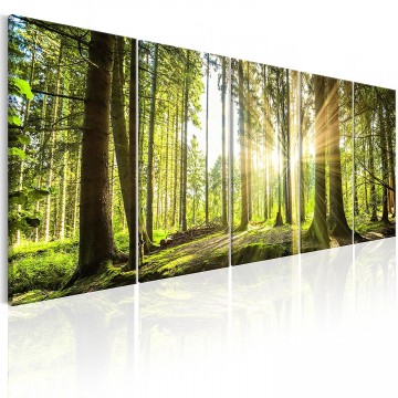 Canvas 5 luik schilderij herfstbos2 225 x 90 cm