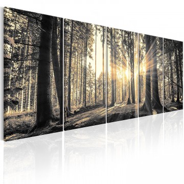 Canvas 5 luik schilderij herfstbos3 225 x 90 cm