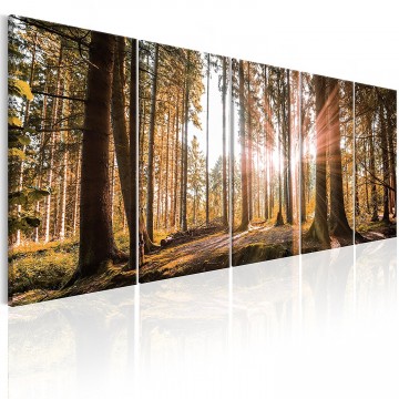 Canvas 5 luik schilderij herfstbos4 225 x 90 cm