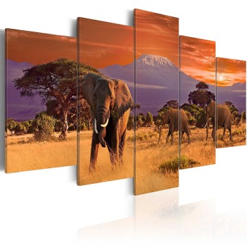 Canvas 5 luik schilderij kilimanjaro olifant kenia 1 240 x 112 cm 030112  56 