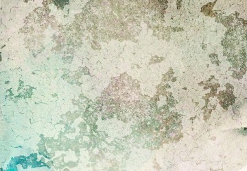 Canvas 5 luik schilderij leeuw special 3 225 x 90 cm 0263