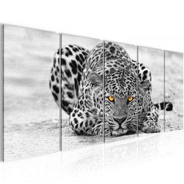 Canvas 5 luik schilderij luipaard2 220 x 80 cm 000312