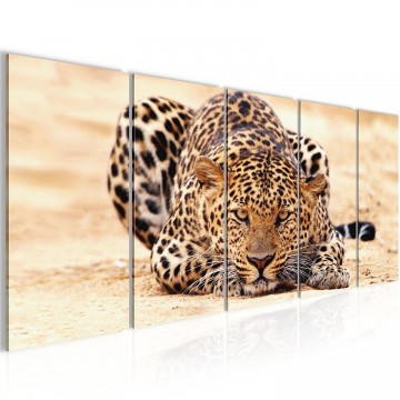 Canvas 5 luik schilderij luipaard3 220 x 80 cm 000312