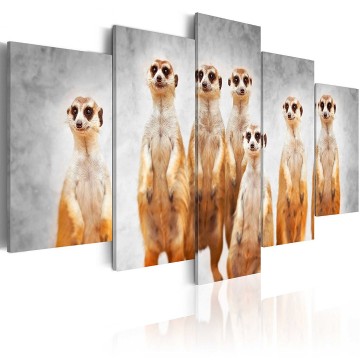 Canvas 5 luik schilderij meerkat 1 afrika 240 x 112 cm g a 0087 b n