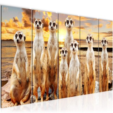 Canvas 5 luik schilderij meerkat 2 220 x 80 cm 005555