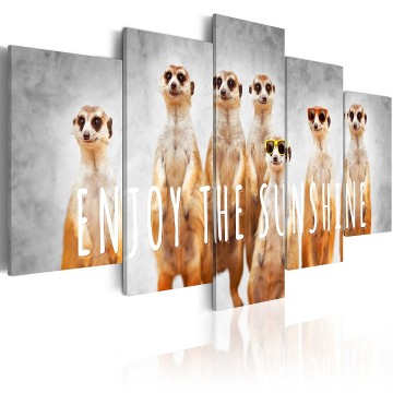 Canvas 5 luik schilderij meerkat 2 afrika 240 x 112 cm g a 0087 b n