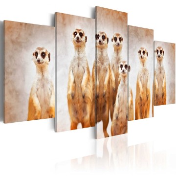 Canvas 5 luik schilderij meerkat 3 afrika 240 x 112 cm g a 0087 b n