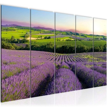 Canvas 5 luik schilderij natuur 2 220 x 80 cm 610755