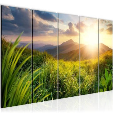 Canvas 5 luik schilderij natuur bergen 1 220 x 80 cm 607055