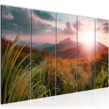 Canvas 5 luik schilderij natuur bergen 2 220 x 80 cm 607055