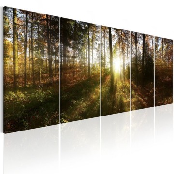 Canvas 5 luik schilderij natuur bos 0008 240 x 90 cm c b 0173 b m