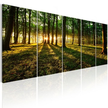 Canvas 5 luik schilderij natuur bos 0009 240 x 90 cm c b 0306 b m