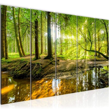 Canvas 5 luik schilderij natuur bos 1 220 x 80 cm 611755