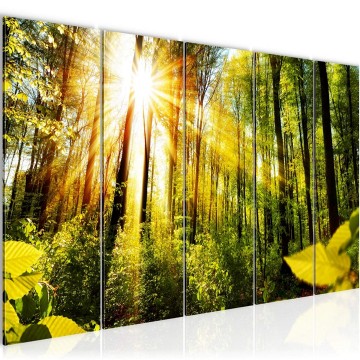 Canvas 5 luik schilderij natuur bos 14 220 x 80 cm 024255 ama