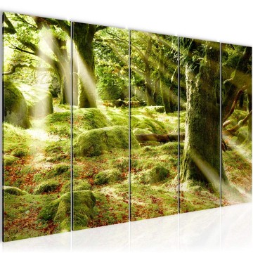 Canvas 5 luik schilderij natuur bos 15 220 x 80 cm 610955