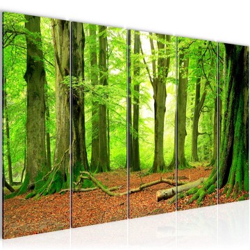 Canvas 5 luik schilderij natuur bos 16 220 x 80 cm 610955