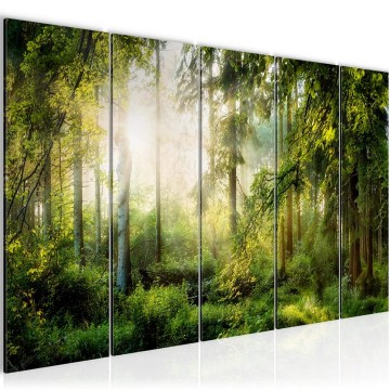 Canvas 5 luik schilderij natuur bos 19 220 x 80 cm 608355