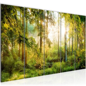 Canvas 5 luik schilderij natuur bos 20 220 x 80 cm 608355