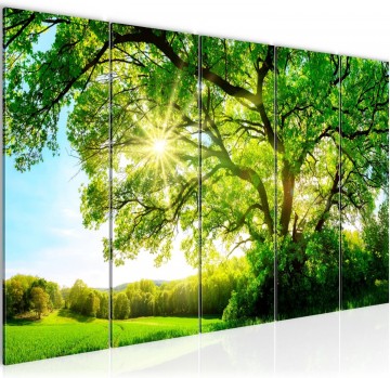 Canvas 5 luik schilderij natuur bos 220 x 80 cm 049955a